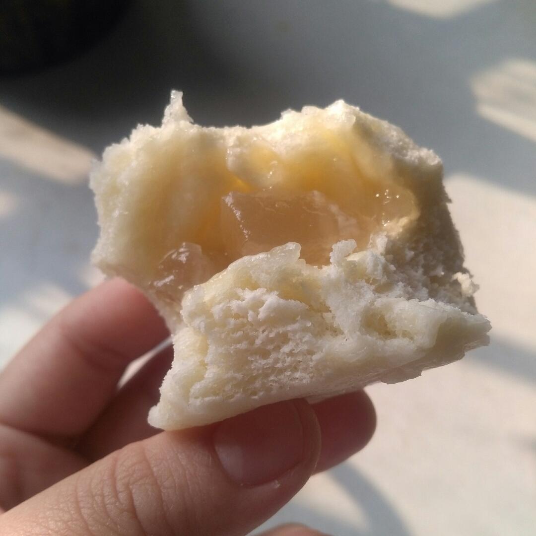 yanyanb做的水晶包子(水晶馅肉包子)水晶包