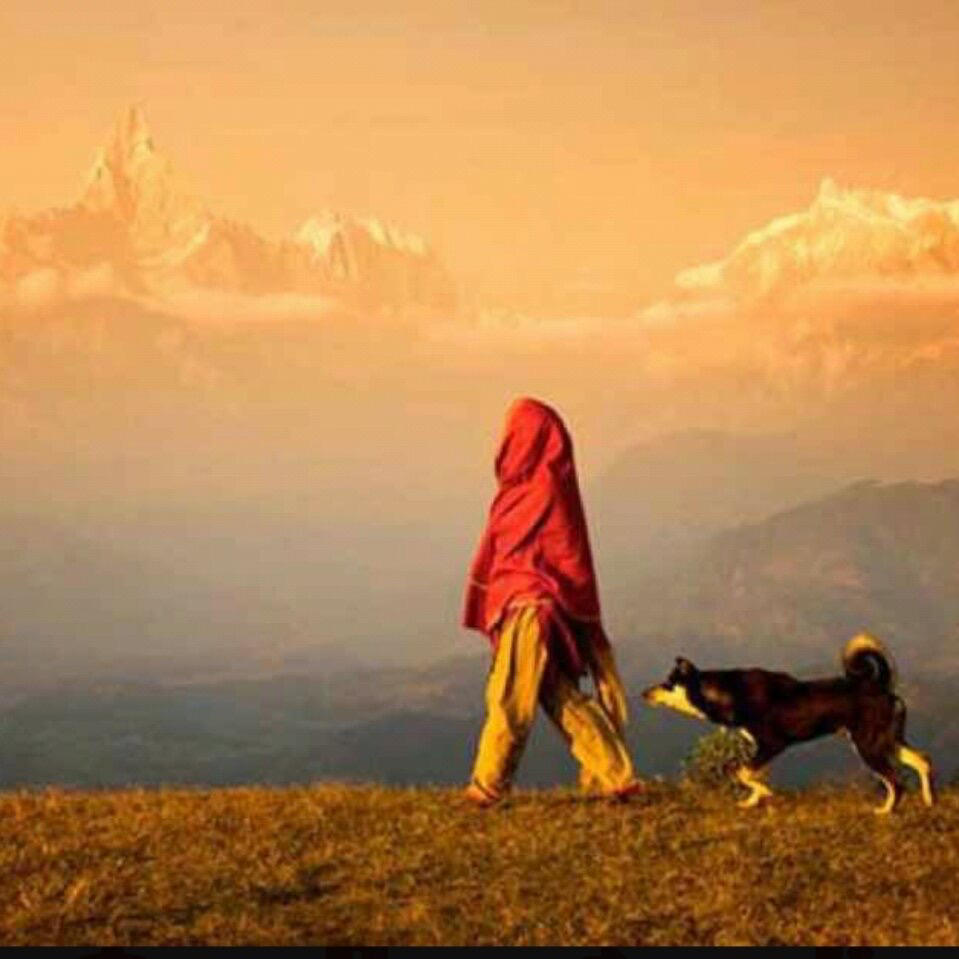 下厨房用户_tb7fc