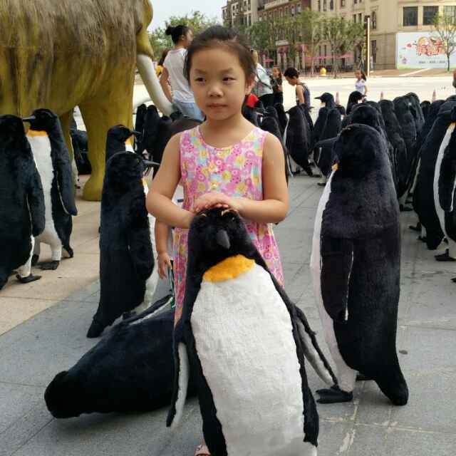 龙小果