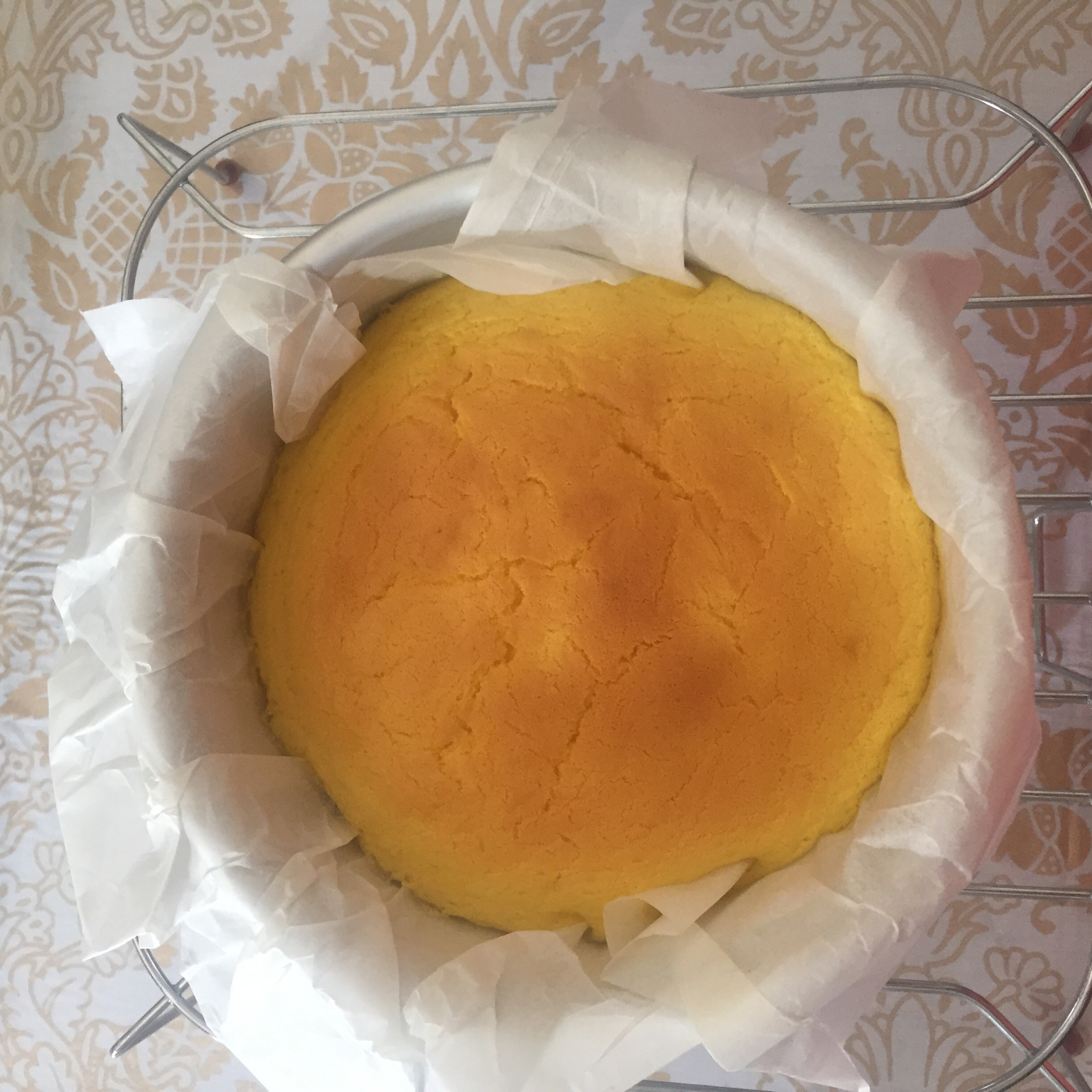 轻乳酪芝士蛋糕6寸#皮黑森林#