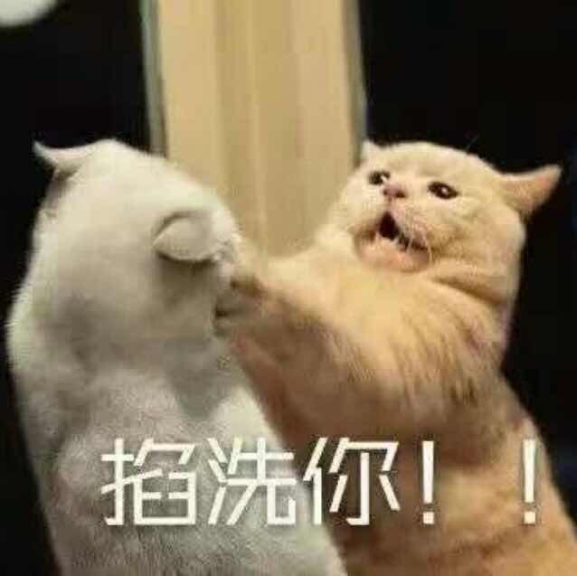 破猫�杂货铺