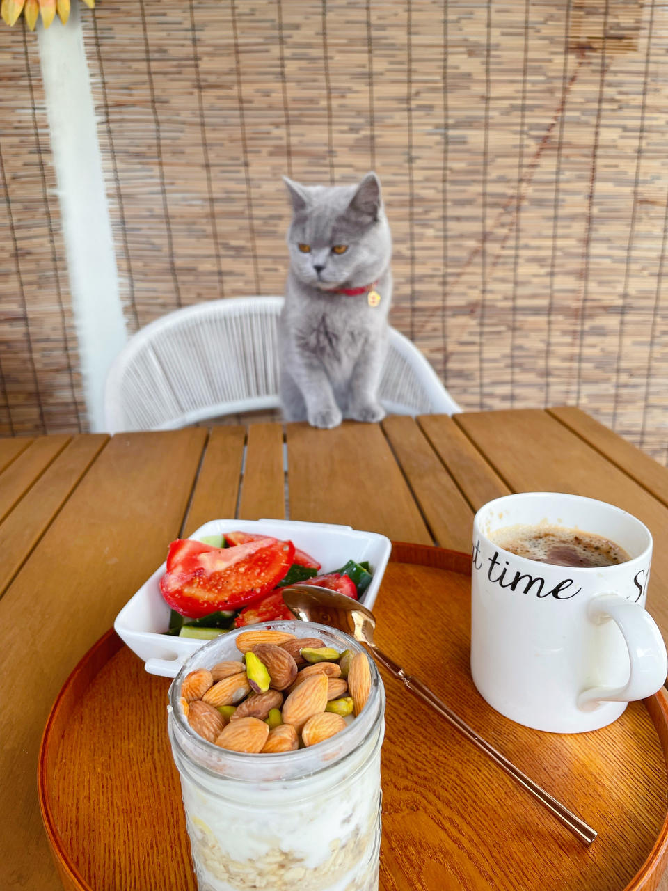 我的小院美食记