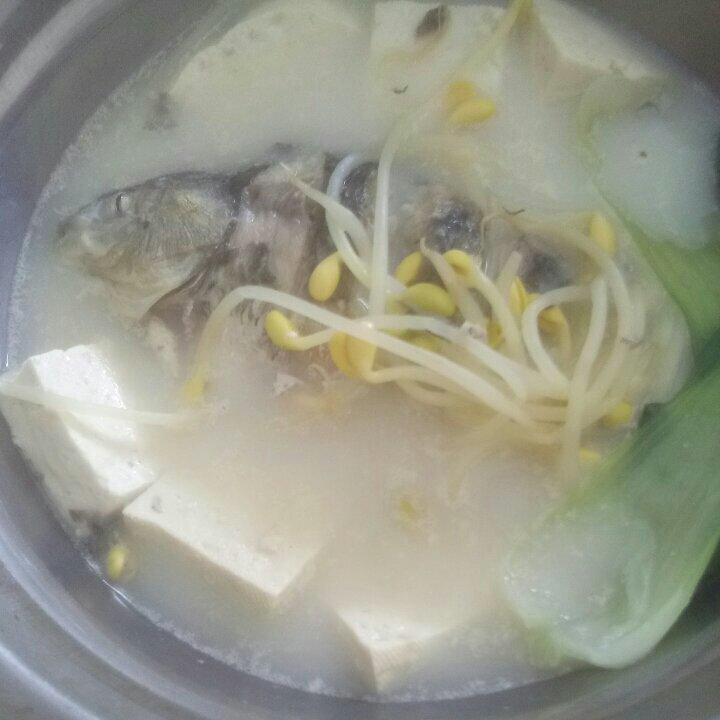 清炖鲫鱼汤 三个关键步骤让你轻松炖出汤浓味鲜色白似奶的鲫鱼汤