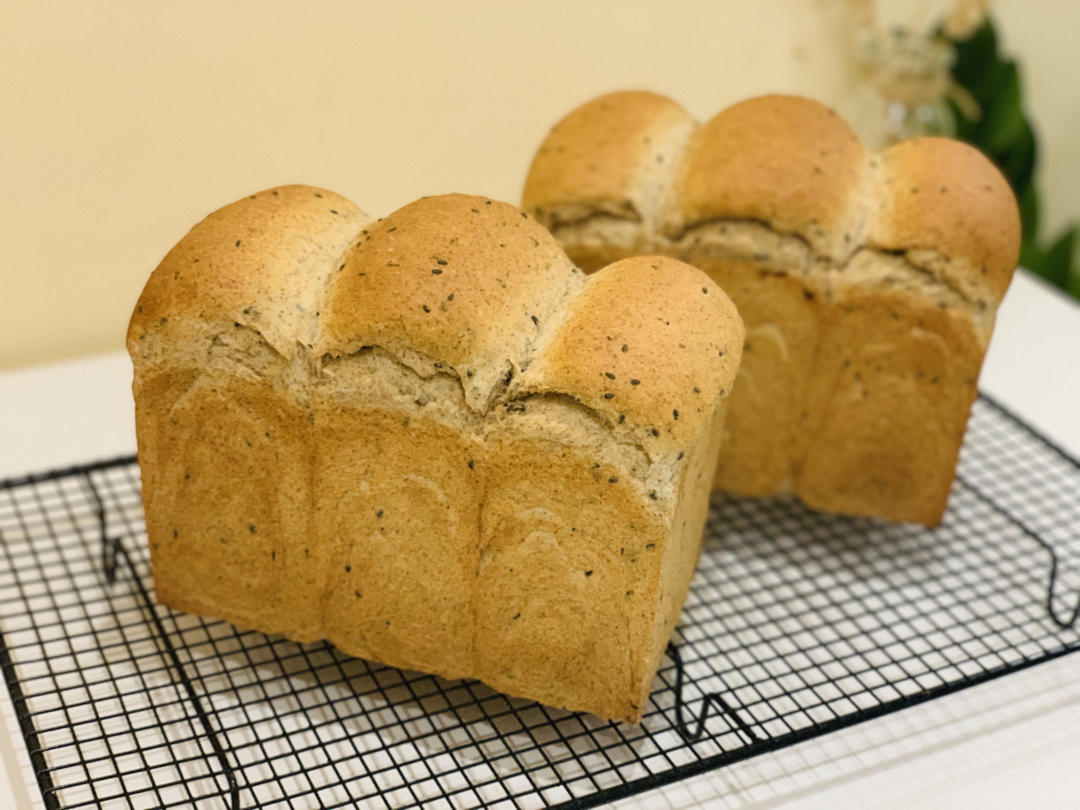 顺势而为 波兰小黑吐司