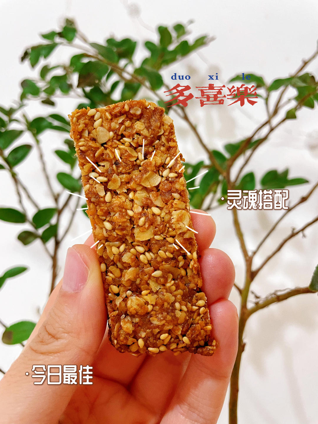 燕麦酥（简单易做超酥脆）