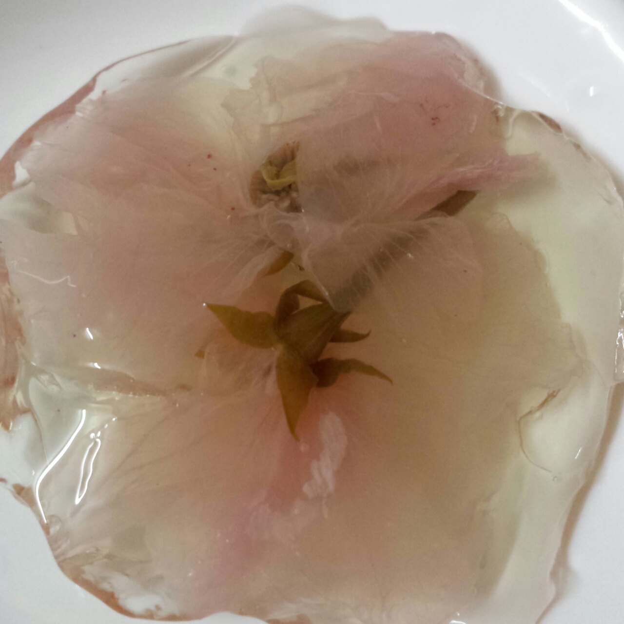 樱花果冻，简单快手