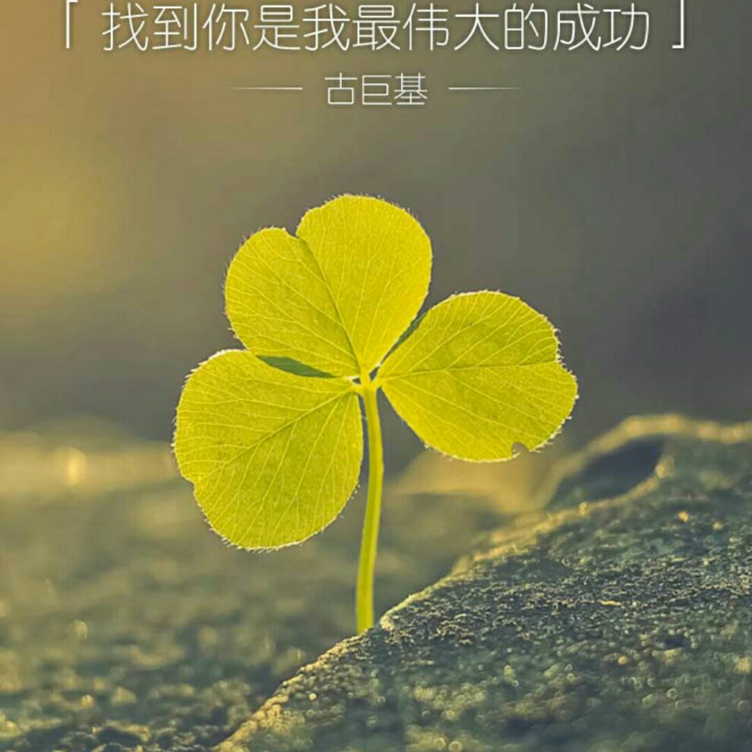 哭不一定是伤心事