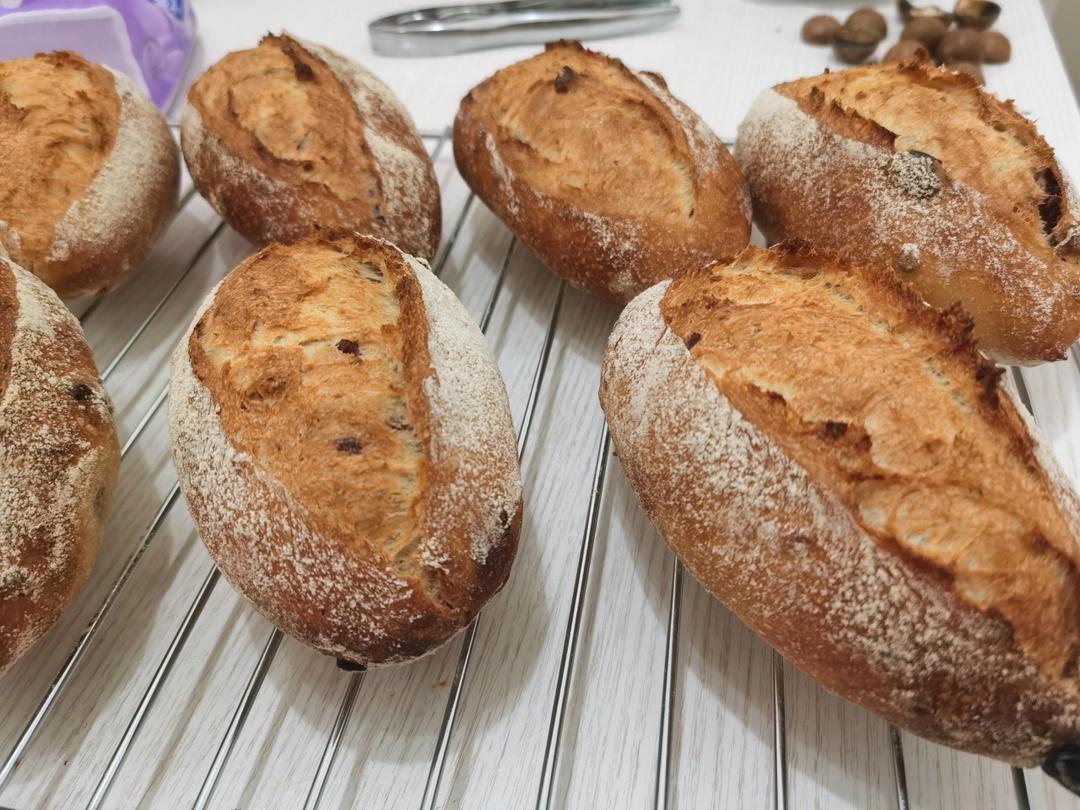 法式乡村面包                      （蔓越莓核桃、培根乳酪）