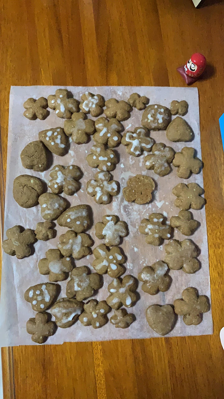 圣诞姜饼人 lebkuchen ❨德国瑞士的配方❩