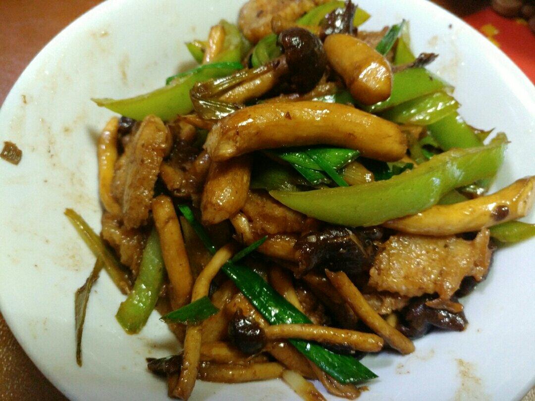 茶树菇炒肉