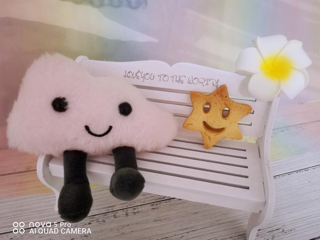 最好吃没有之一的曲奇！