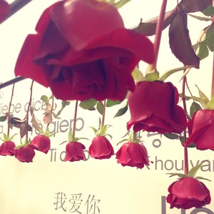玫瑰花变干花永远保存你的爱的做法步骤图 Princesszq 下厨房 玫瑰花变干花永远保存你的爱的做法步骤图 Princesszq 下厨房