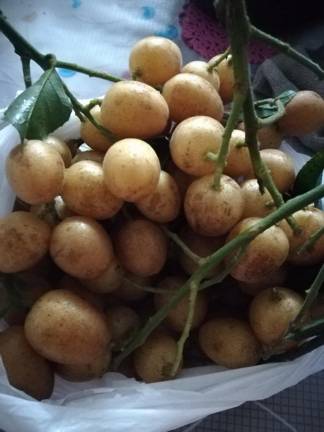 蜜渍黄皮（止咳化痰，降火助消化的偏方）