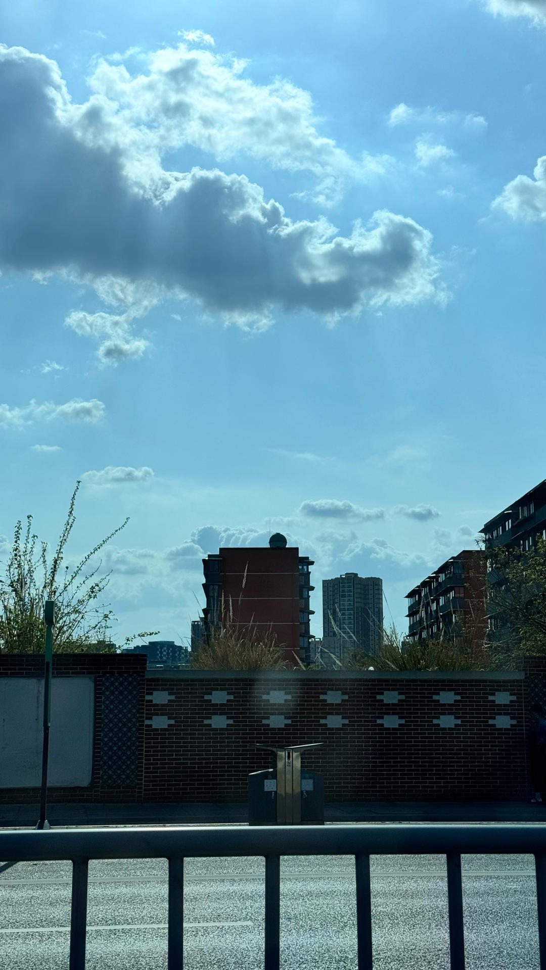 肝腰合炒的做法