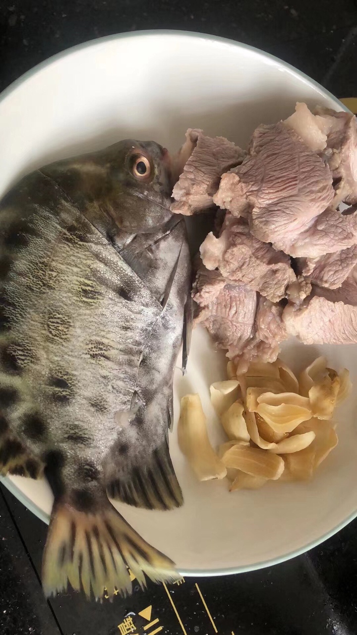 金鼓鱼的营养价值图片