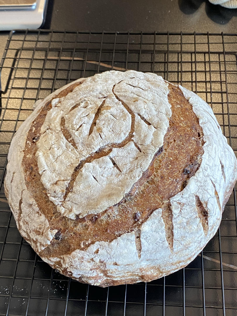 天然酵种乡村欧包/鲁邦种