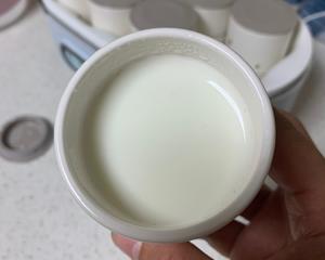自制健康酸奶的做法 步骤10
