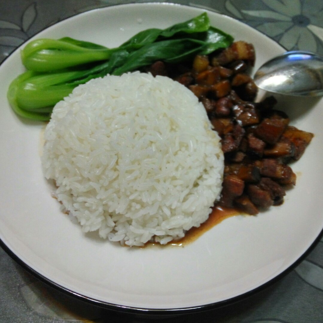 洋葱酥卤肉饭