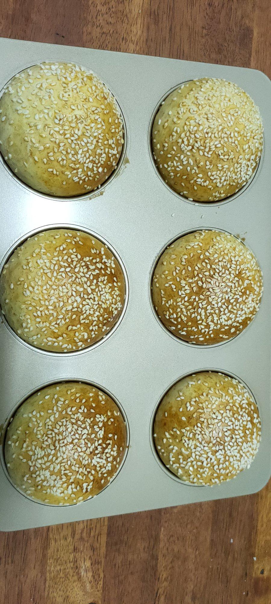 汉堡包胚学习记录帖