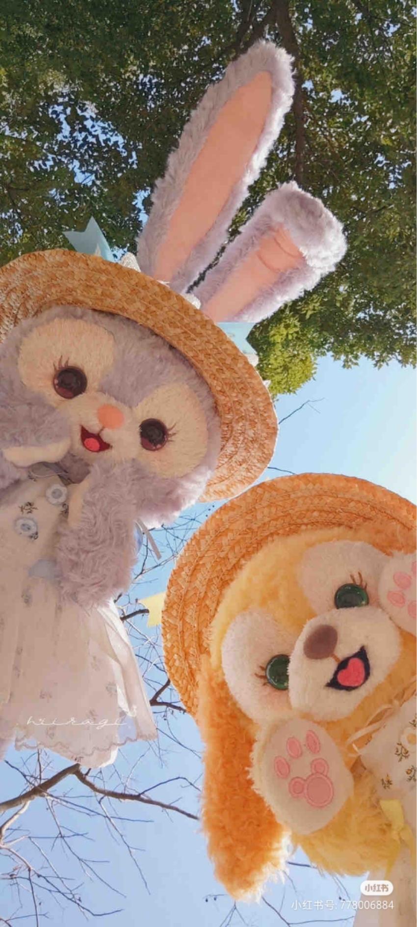紫轩潇潇_