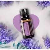 熏衣草夏的薄荷糖