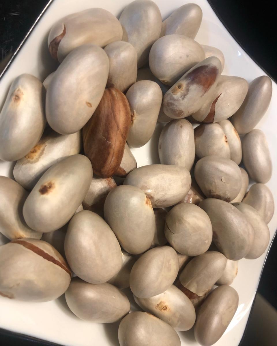 可婷姐姐做的水煮菠萝蜜核