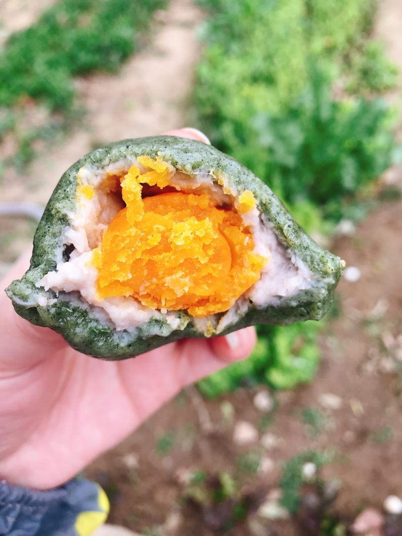 青团（咸蛋黄肉松馅）