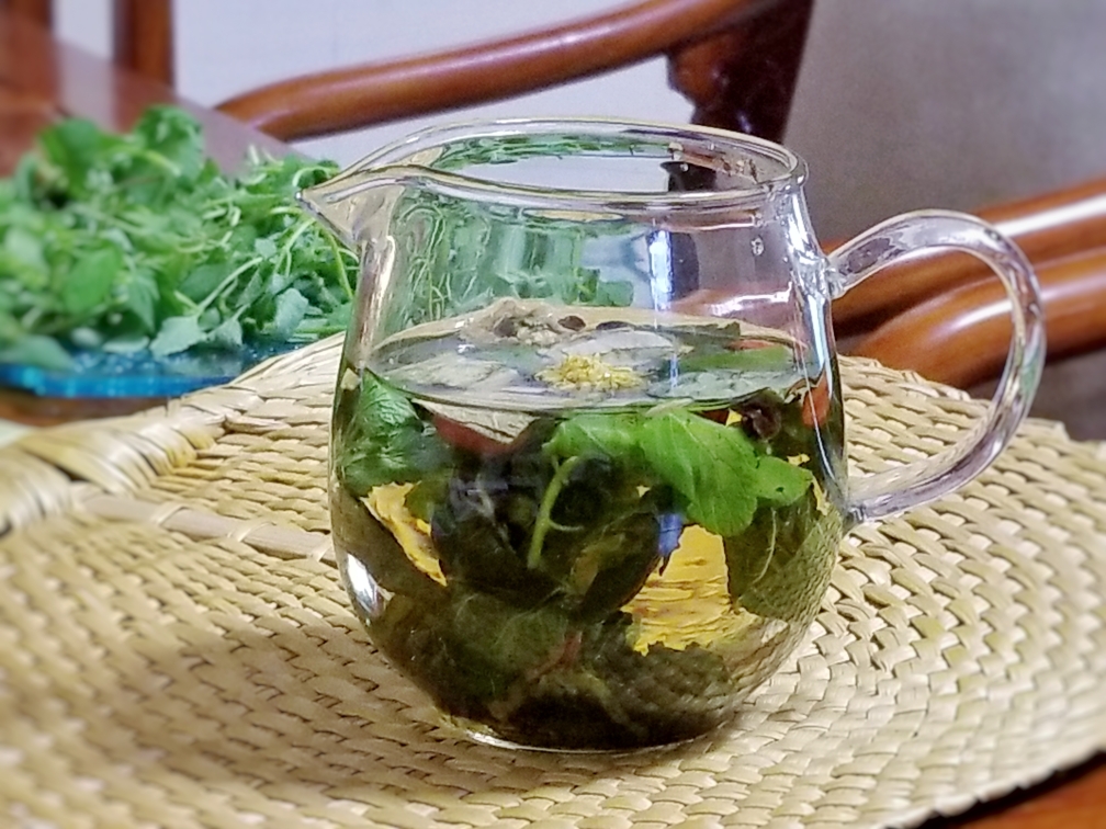 【南方凉茶系列】1「金钱草车前草茶」清热利湿通淋的做法