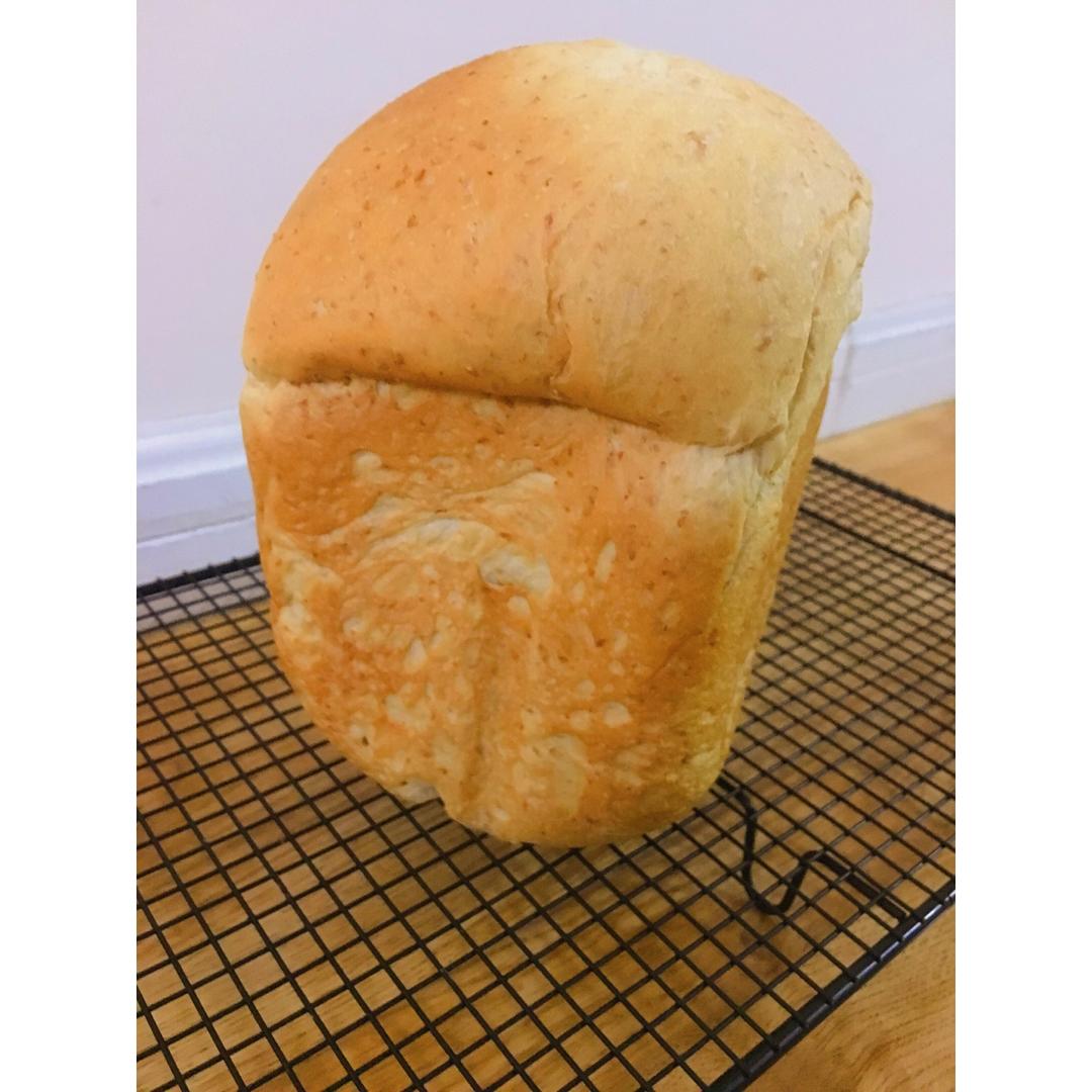 白土司庞多米--松下面包机