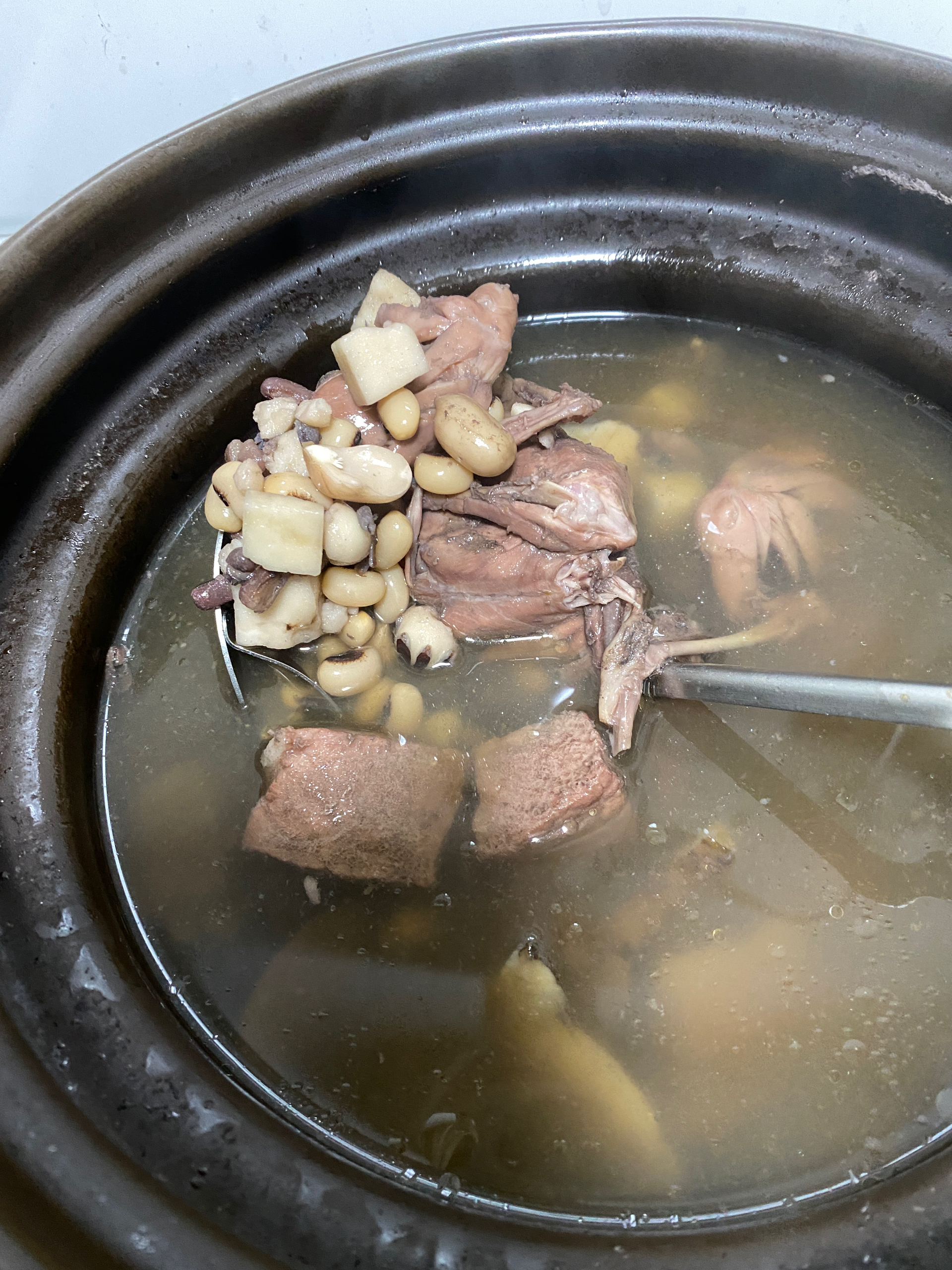 春～祛湿鹌鹑豆豆汤的做法