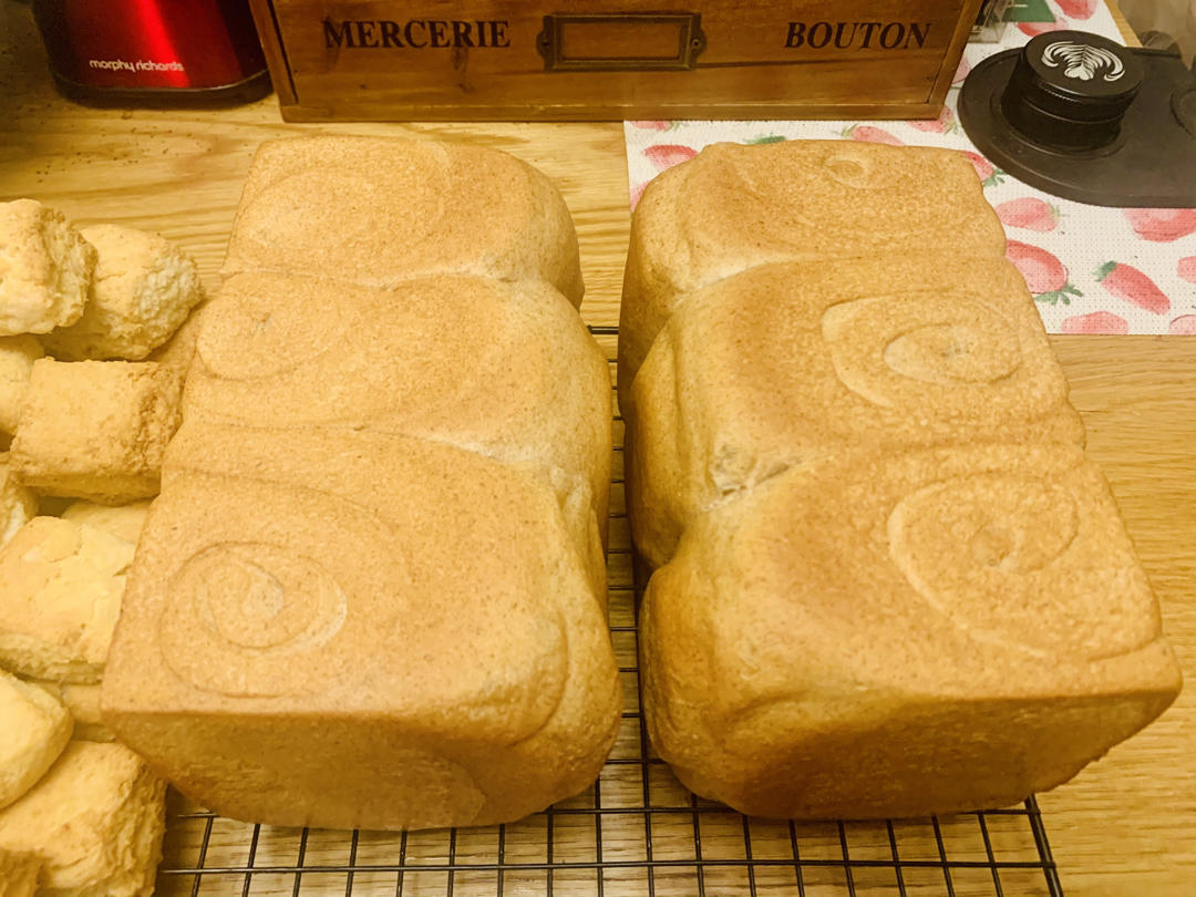 波兰种全麦吐司（40%全麦）