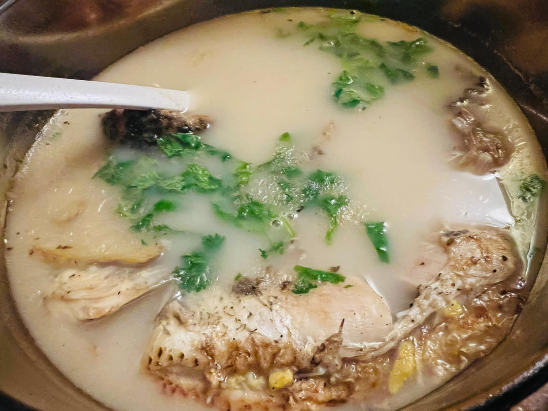 清炖鲫鱼汤 三个关键步骤让你轻松炖出汤浓味鲜色白似奶的鲫鱼汤