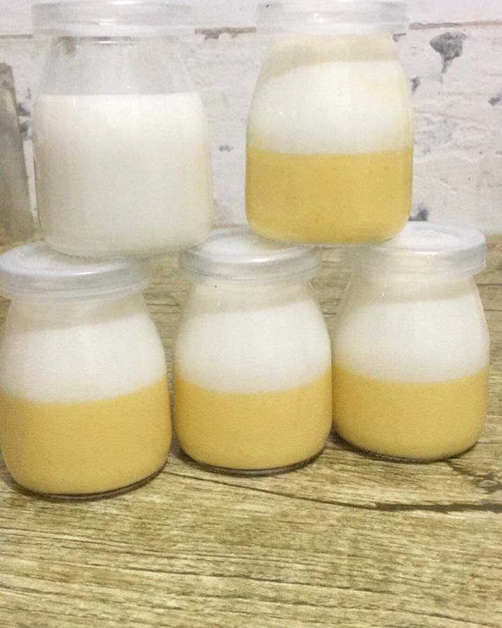 清爽芒果布丁