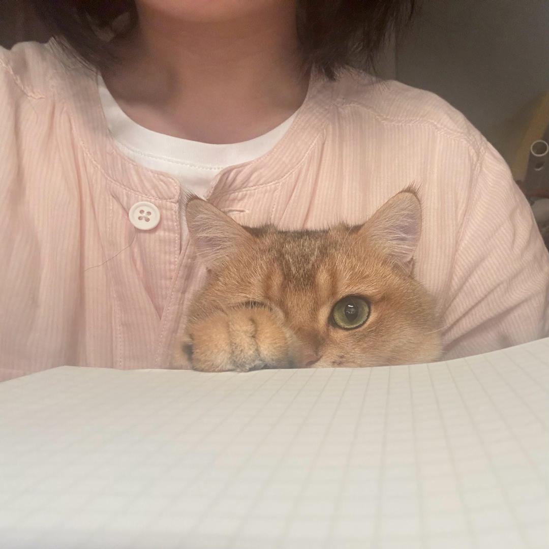 淡巴瓜儿