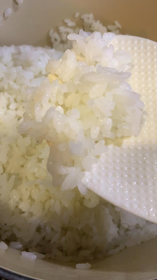 铸铁锅煮饭（及关于沾底）
