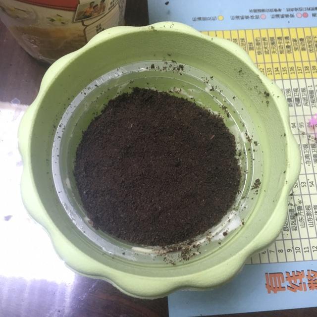 盆栽冰淇凌