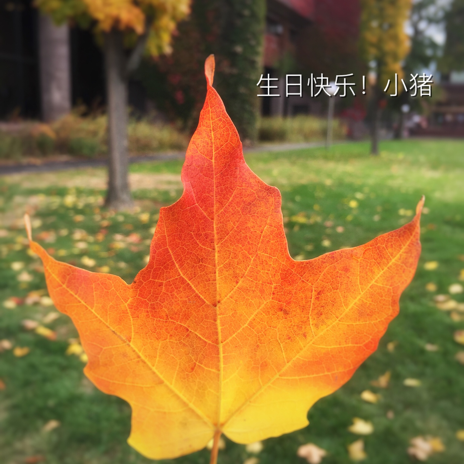 有一种温暖，有你们真好