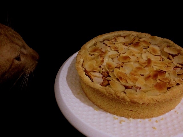 THCcupcake 作品合集