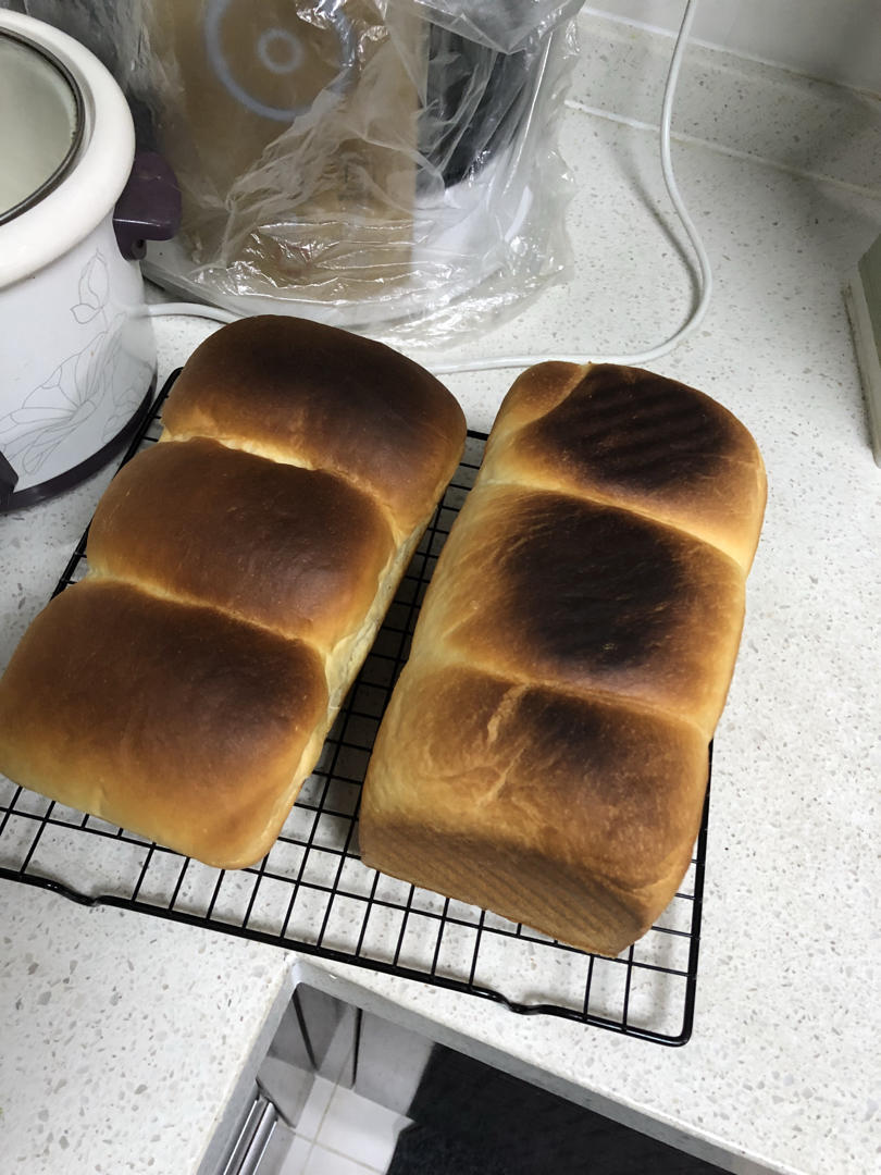 软到不知所措的牛奶卷