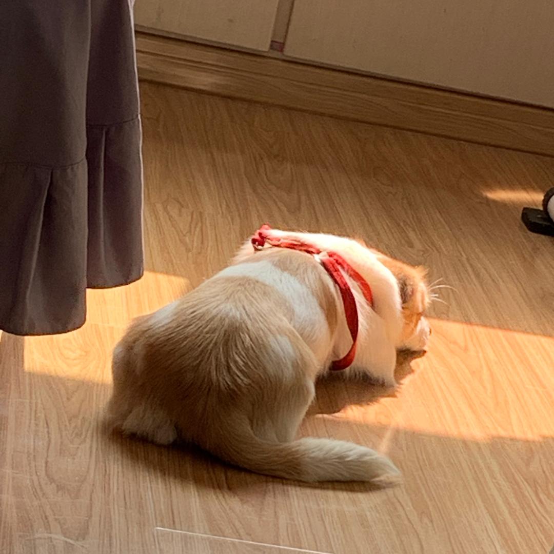 是小房房的那个Emma吖