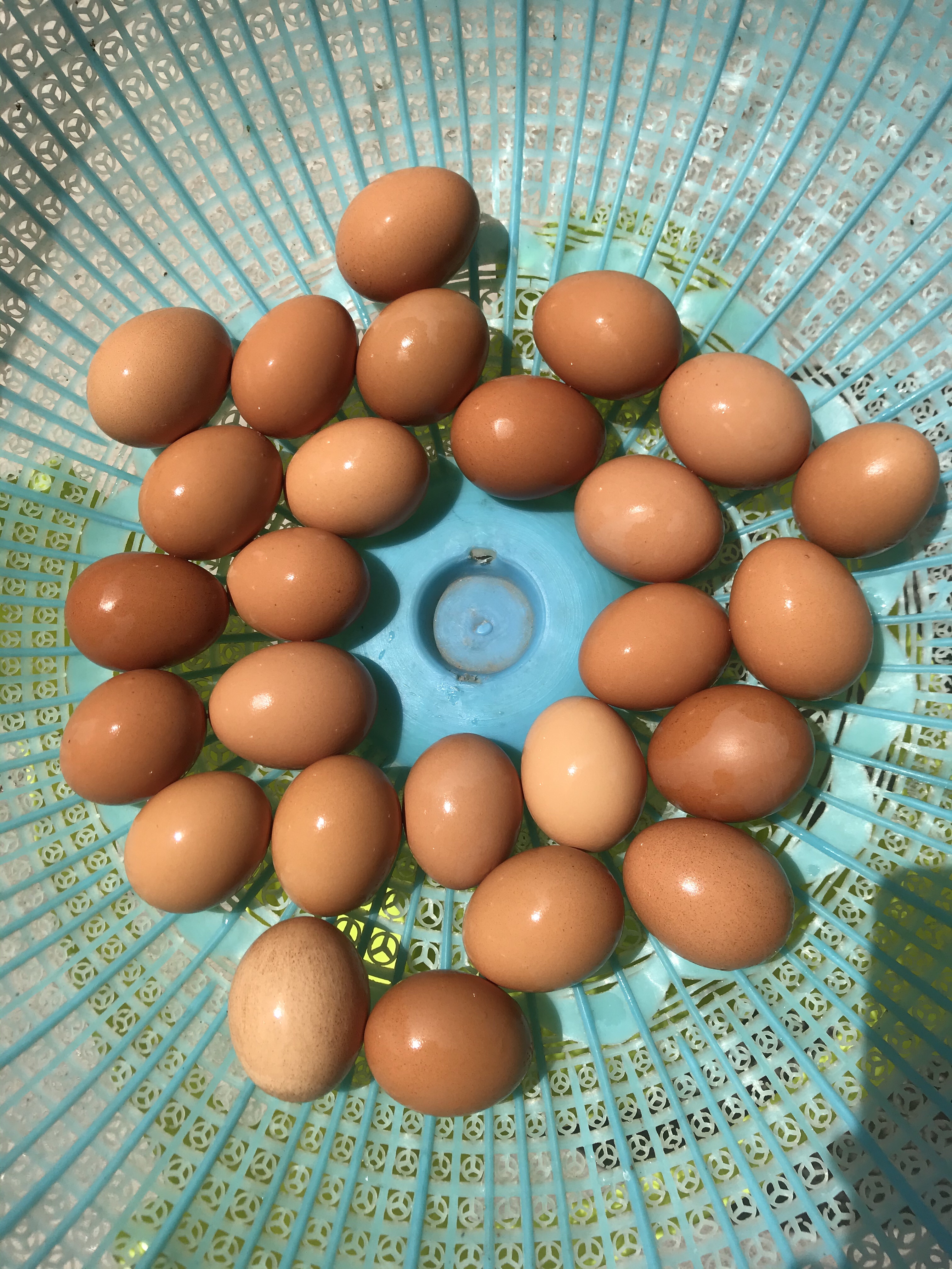 保鲜膜腌鸡蛋的做法 步骤3