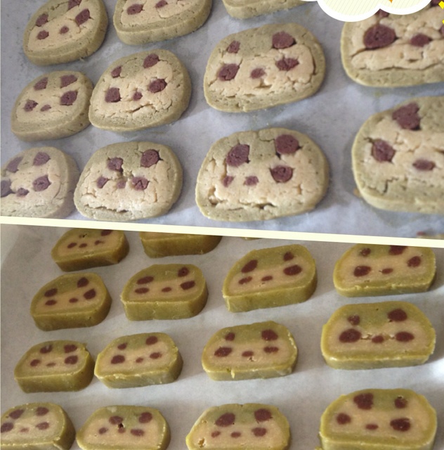 熊猫小饼干
