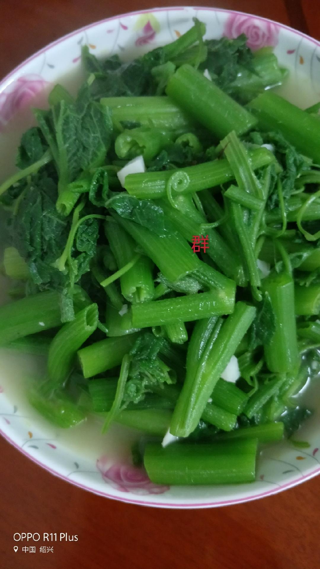 0人做过这道菜森垚xcq用料南瓜叶适量盐适量大蒜子2瓣油适量水煮南瓜