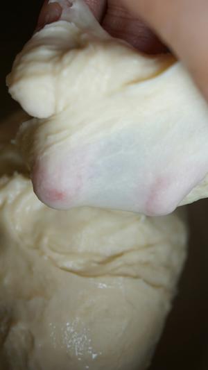 经典法式奶香小面包的做法 步骤4