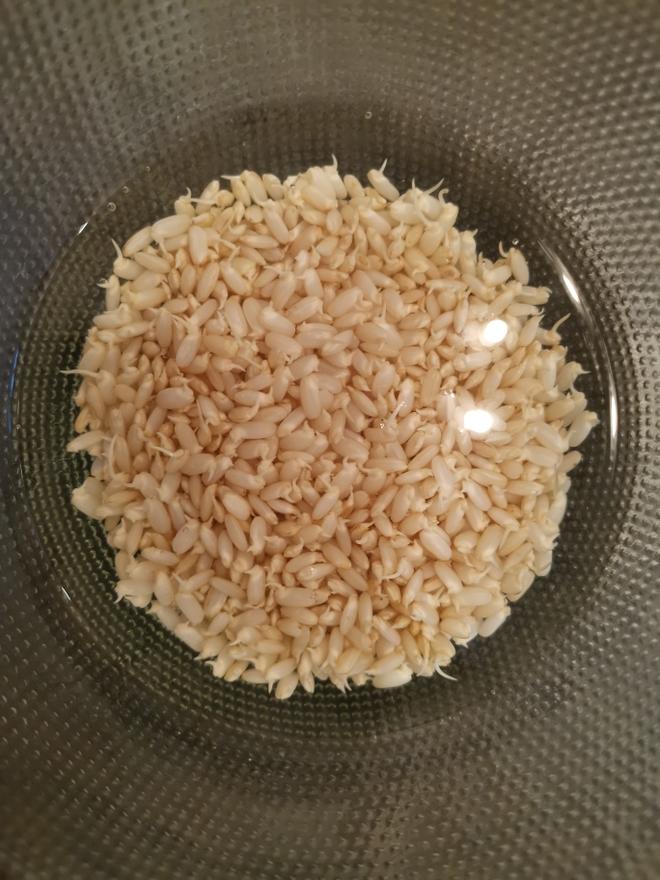 发芽糙米的做法