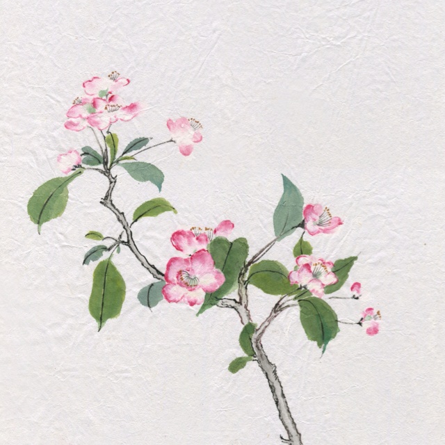 绿湙