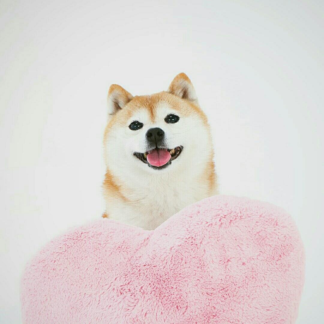 Snow Lau