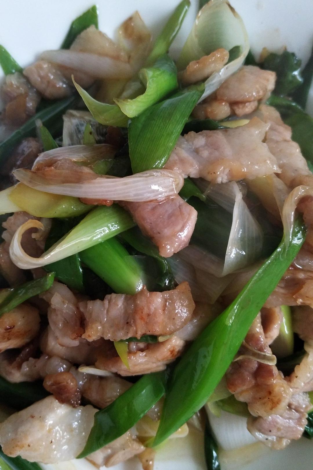 纳悦自己90081agb做的葱炒肉