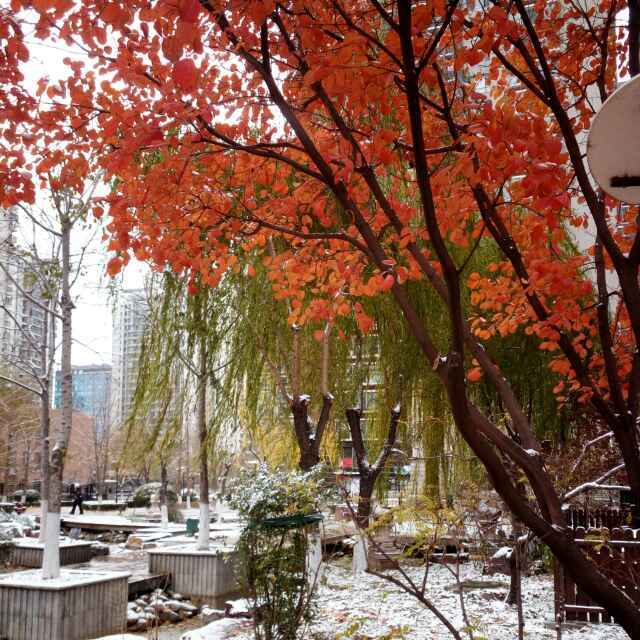 ꧁༺喜༒深༻꧂