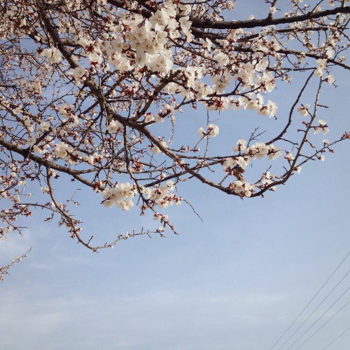 圆圆-1017的厨房